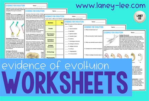 evidence for evolution worksheet laney lee 2021